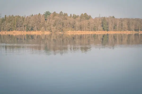 Une Belle Vue Sur Les Arbres Reflétés Dans Lac — Photo