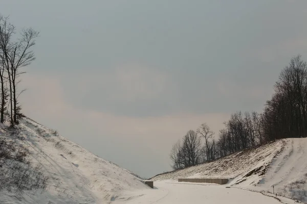 Ландшафт Парку Вкритого Голими Деревами Снігом Під Хмарним Небом Боснії — стокове фото