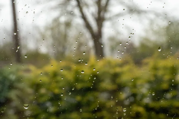 Närbild Regndroppar Ett Fönsterglas — Stockfoto