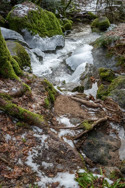 Chladný Pohled Tekoucí Vodu Kamenem Pokrytým Zeleným Mechem Černém Lese — Stock fotografie