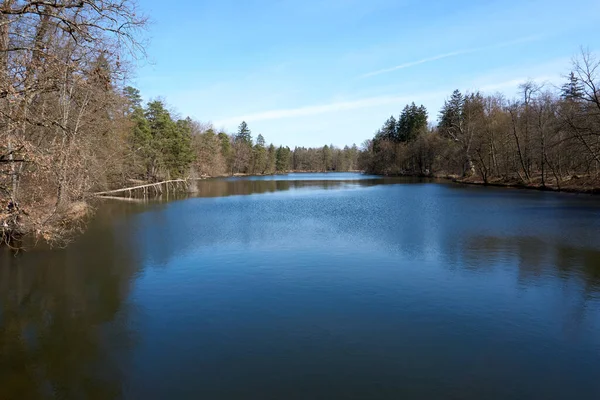 Lac Calme Entouré Arbres Automne Dans Une Forêt — Photo