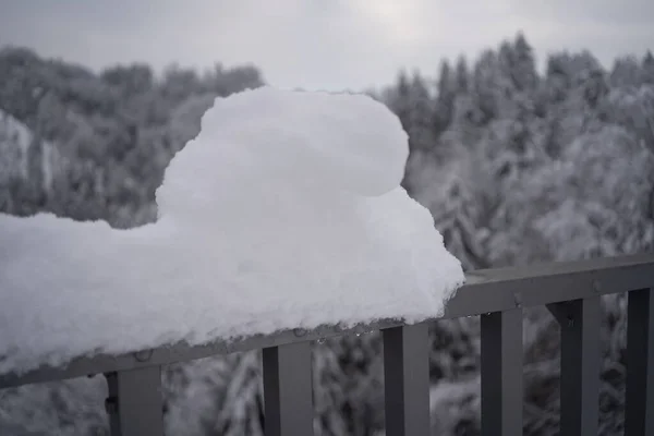 Closeup Shot Snowy Fence View Forest — Stock Photo, Image