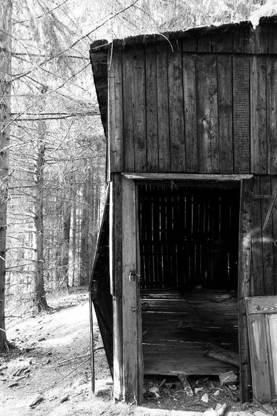 Graustufenaufnahme Einer Alten Holzhütte Wald — Stockfoto