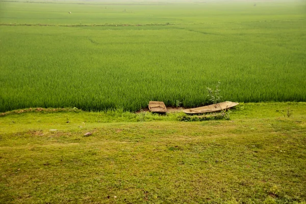 Campo Grama Verde Fresco Sem Fim Campo — Fotografia de Stock