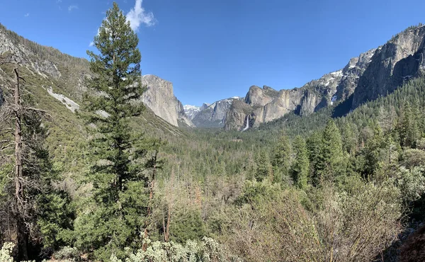 Пейзаж Сосен Водопад Вдалеке Долине Йосемити Калифорния — стоковое фото