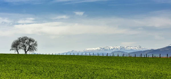 Widok Masyw Sancy Zimie Departament Puy Dome Auvergne Rhone Alpes — Zdjęcie stockowe