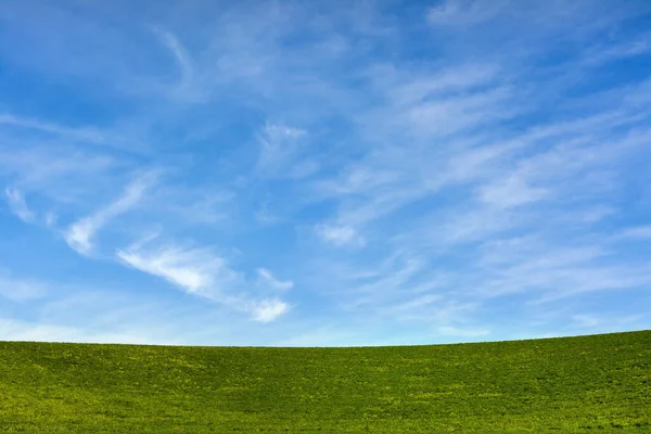 Een Prachtige Opname Van Een Groen Veld Puy Dome Auvergne — Stockfoto