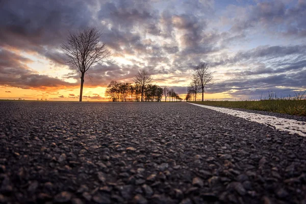 Een Prachtig Lage Hoek Zicht Asfalt Textuur Bomen Achtergrond Tijdens — Stockfoto