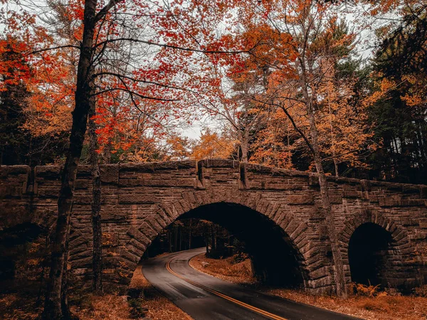 Schöne Aufnahme Einer Steinernen Bogenbrücke Einem Herbstlichen Park — Stockfoto