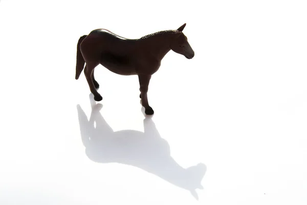 Primer Plano Figura Caballo Blanco Francia — Foto de Stock