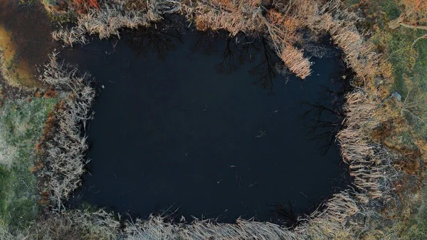 들판에 풀에둘러 연못의 아름다운 — 스톡 사진