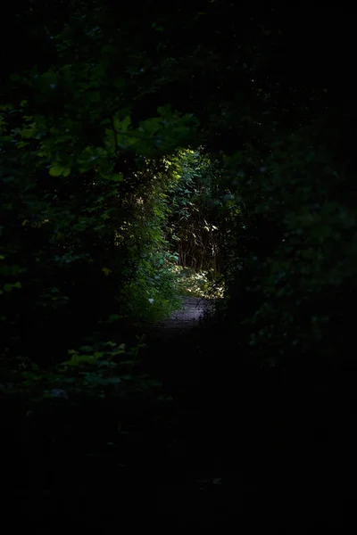 어두운 경로의 — 스톡 사진