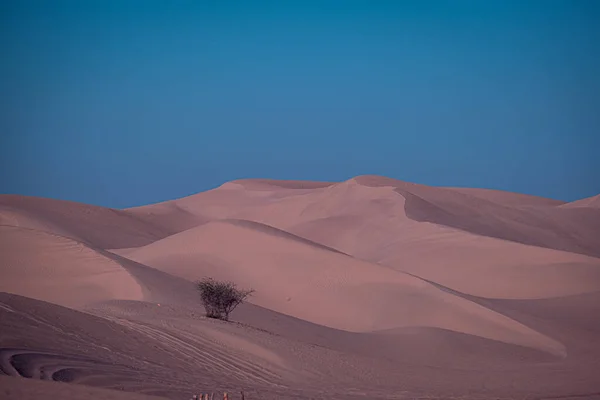 Krásný Výhled Dubajskou Poušť — Stock fotografie