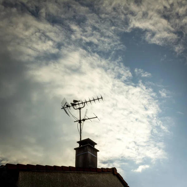 Birds Antenna France — Stock Photo, Image