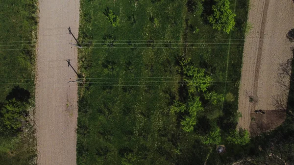 Vacker Flygbild Tjocka Träden Som Växer Skogen Ganska Dyster Dag — Stockfoto