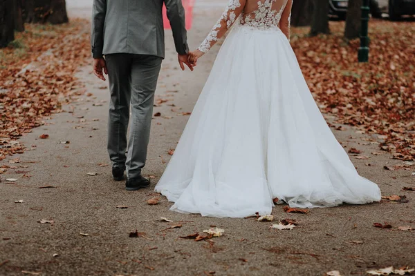 花嫁と新郎が庭を歩く美しい景色 — ストック写真