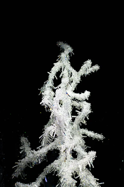 黒い背景に結晶霜が隔離された木の枝の垂直ショット — ストック写真