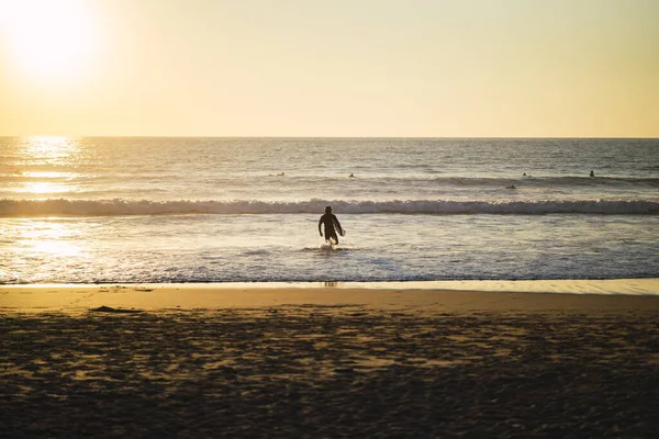 美しい夕日の間にビーチで海に走っているサーファー — ストック写真