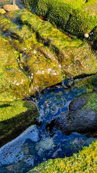 Het Water Het Midden Van Rotsen Bedekt Met Algen — Stockfoto