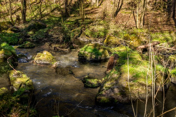 Naturlig Bild Sten Täckt Med Grön Mossa Stre — Stockfoto