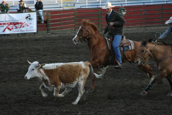 Ellensburg United States Apr 2009 Cwu 로데오 워싱턴 엘렌스버그에서 로데오 — 스톡 사진