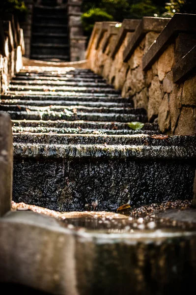 ジャングルの中の寺院に石段の端から滴り落ちる水の美しい垂直ショット — ストック写真