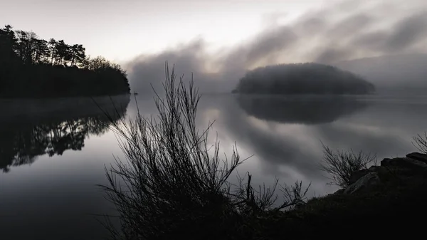 나무로 둘러싸인 호수가 안개낀 으스스 공원의 아름다운 — 스톡 사진