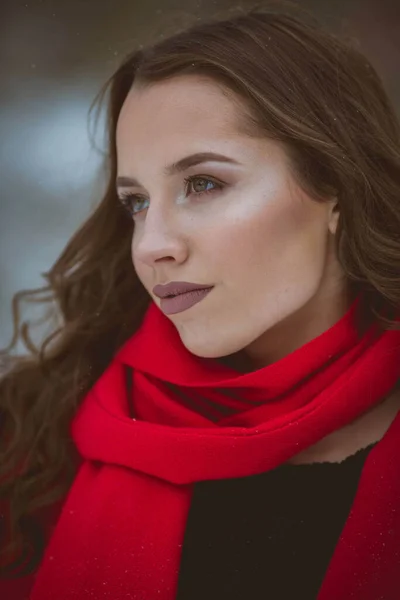 Retrato Una Joven Morena Con Maquillaje Perfecto Usando Una Elegante —  Fotos de Stock