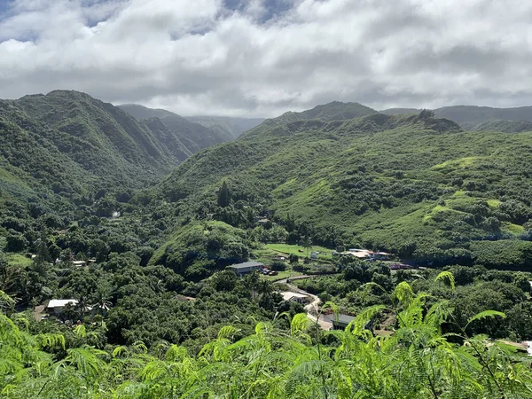 Вид Тропическую Зеленую Долину Скрытыми Домами Острове Мауи Гавайи — стоковое фото