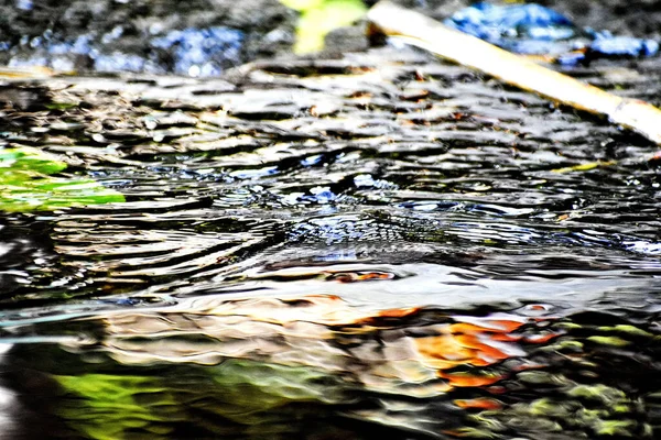 Eine Flache Aufnahme Eines Flusses Der Mit Wellen Und Blättern — Stockfoto