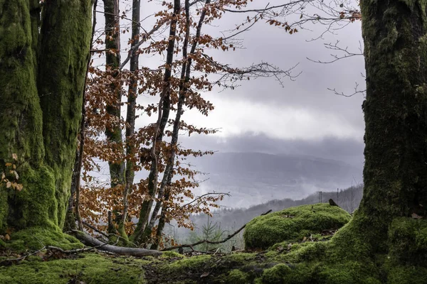 Прекрасний Вид Туманні Гори Під Хмарним Штормовим Небом — стокове фото