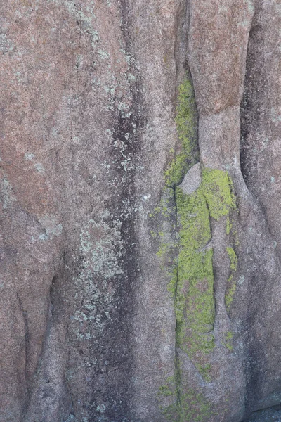 Close Rock Face Texture Bright Green Moss Growing Watson Lake — Stock Photo, Image