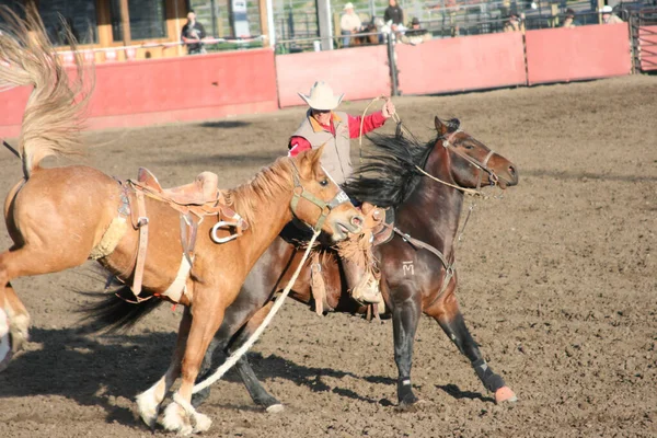 Ellensburg Washington Egyesült Államok 2009 Április Jelenet Cwu College Rodeo — Stock Fotó