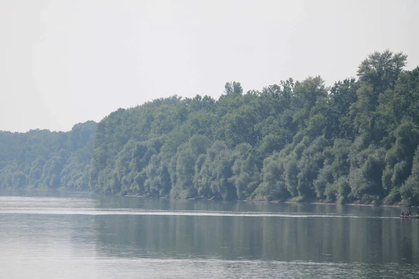 Una Vista Naturale Lago Calmo Nebbioso Con Alberi Sullo Sfondo — Foto Stock