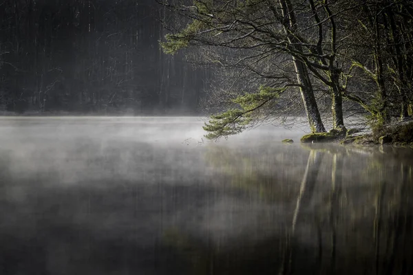 雾蒙蒙 令人毛骨悚然的公园里 湖中的美景被树木环绕着 — 图库照片