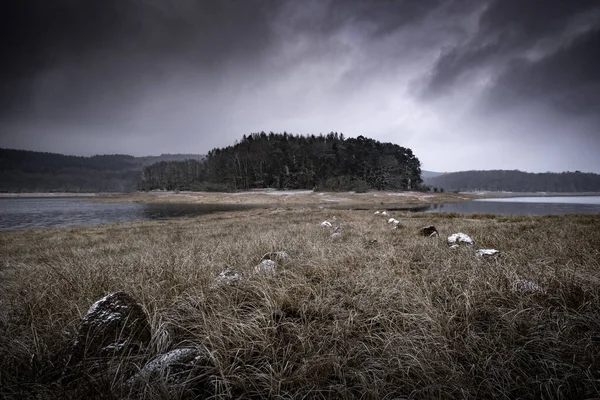 Une Belle Vue Sur Parc Brumeux Effrayant Avec Lac Entouré — Photo