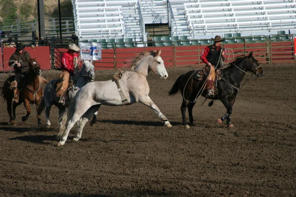 Ellensburg Washington Vereinigte Staaten April 2009 Eine Gruppe Von Cowboy — Stockfoto