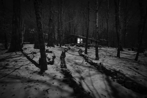 Uma Escala Cinza Uma Casa Madeira Colina Nevada Cercada Por — Fotografia de Stock