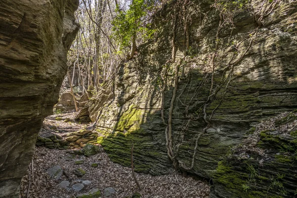 Sendero Rodeado Acantilados Rocosos Cubiertos Musgo Parque — Foto de Stock