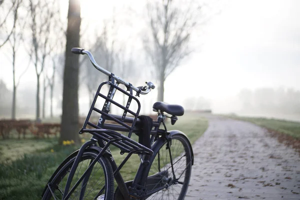 Zbliżenie Roweru Zaparkowanego Drodze Otoczonej Polem Krajobrazowym Rano — Zdjęcie stockowe