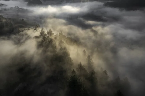 Een Adembenemend Mooi Uitzicht Mistige Bewolkte Bergen Bedekt Met Bomen — Stockfoto