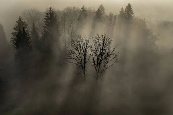 Une Vue Aérienne Magnifique Sur Forêt Brumeuse Nuageuse Dans Parc — Photo