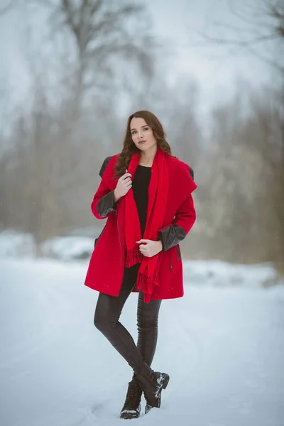 フルボディショットのA若いですブルネット女の子身に着けていますA赤コートで雪の森の中でカメラを見て — ストック写真
