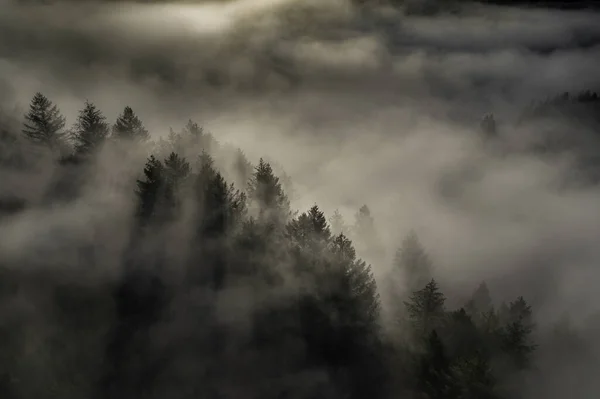 Uma Bela Vista Aérea Das Montanhas Nebulosas Nubladas Cobertas Árvores — Fotografia de Stock