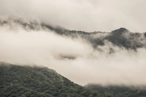 Een Betoverend Uitzicht Bergen Bedekt Met Groen Pluizige Wolken Het — Stockfoto