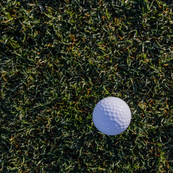 Golf Topunun Golf Sahasında Dengelenmesinin Üst Görüntüsü — Stok fotoğraf