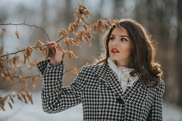 Неглибокий Фокус Знімок Брюнетки Модному Зимовому Вбранні Тримає Гілку Сухого — стокове фото