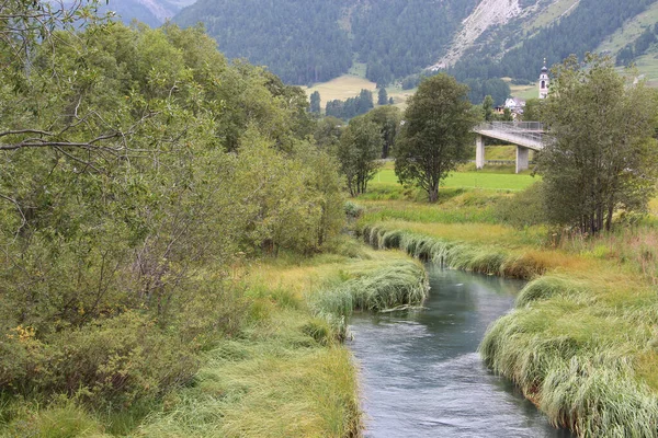 Una Splendida Vista Torrente Che Scorre Circondato Verdi Alberi Parco — Foto Stock