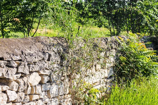 Kamenný Plot Zahradě Létě — Stock fotografie