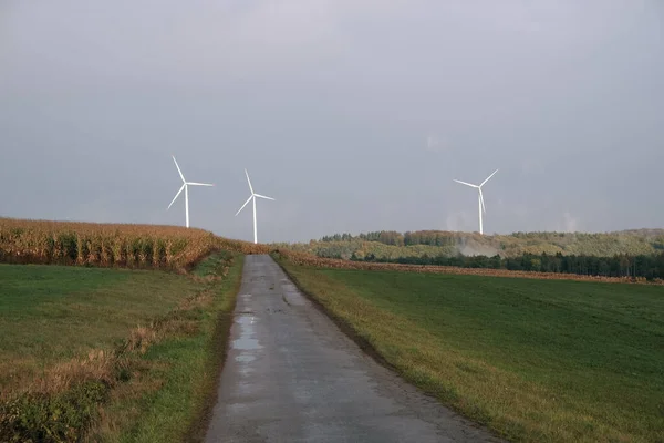 Cesta Přes Zelené Pole Větrnými Turbínami — Stock fotografie